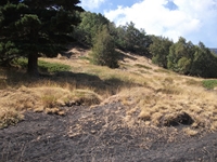 rrente Quarantore-20110911 127